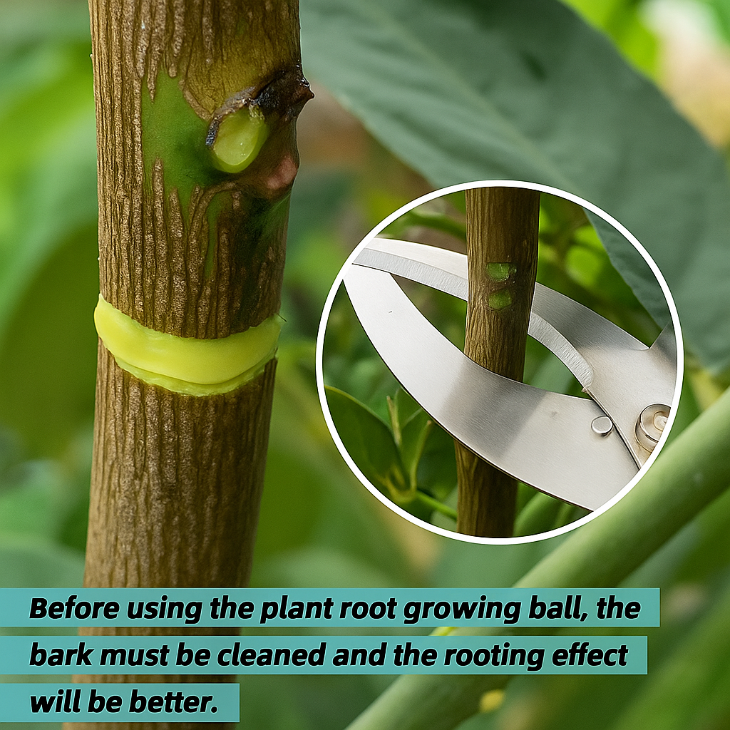 Eco-friendly RootGrow Pods™ (Pack of 5 Combo)