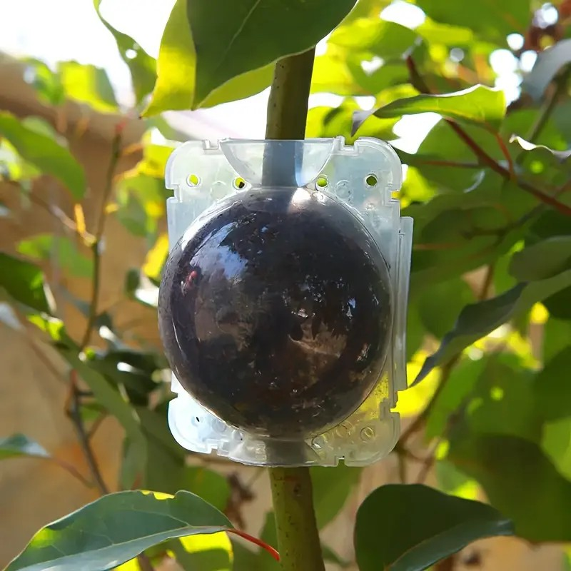 Eco-friendly RootGrow Pods™ (Pack of 5 Combo)