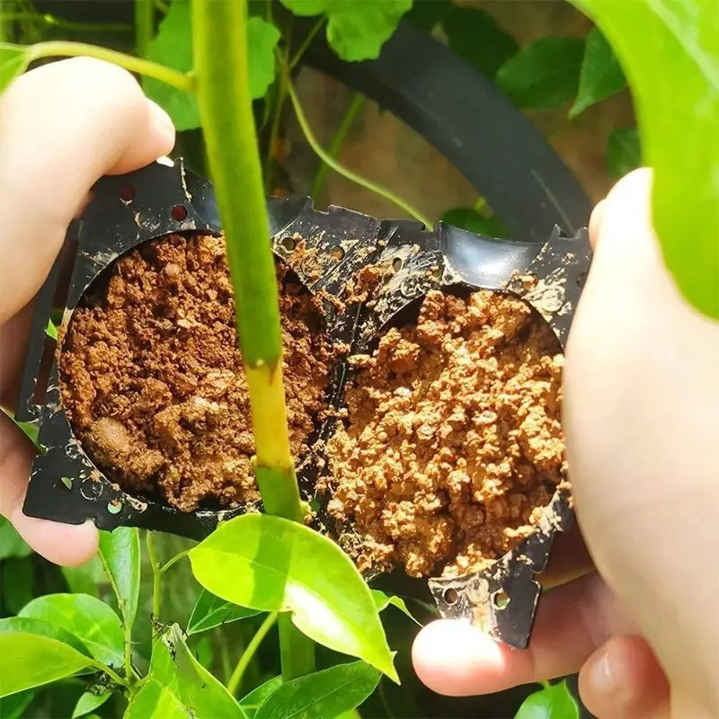 Eco-friendly RootGrow Pods™ (Pack of 5 Combo)